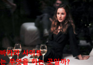 바카라 사이트